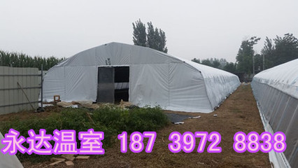 運(yùn)城大棚建設(shè)公司山西晉城食用菌溫室大棚搭建造價(jià)